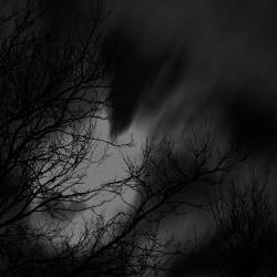 We Deserve This : Illuminate